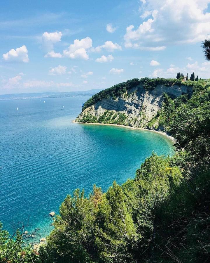 Dino Studio And Room Apartments Portorož Zewnętrze zdjęcie